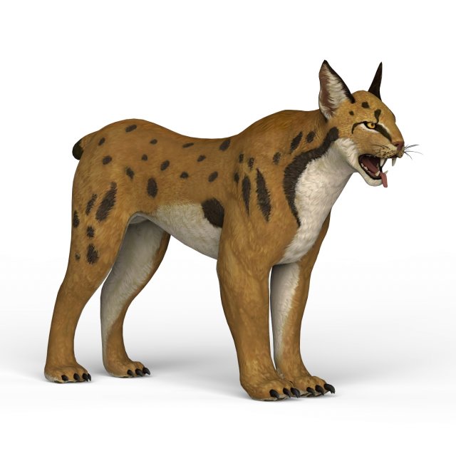 game ready lynx Model 3D .c4d .max .obj .3ds .fbx .stl .blend 