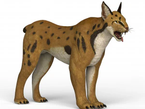 ゲーム準備完了のリンクス 3Dモデル