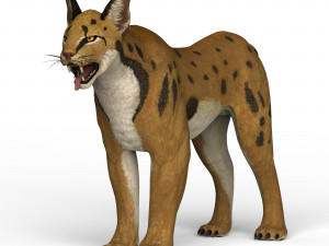 game ready lynx Model 3D
