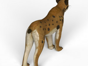 game ready lynx Model 3D