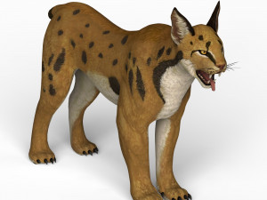 game ready lynx Model 3D