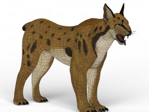 game ready lynx Model 3D