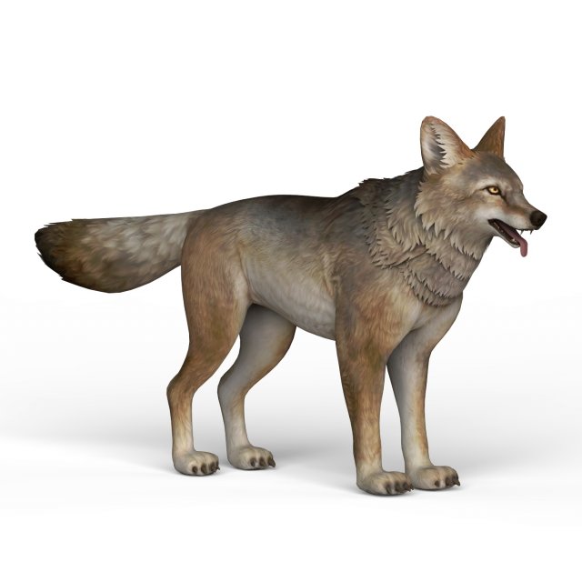 game ready wolf Model 3D .c4d .max .obj .3ds .fbx .stl .blend 