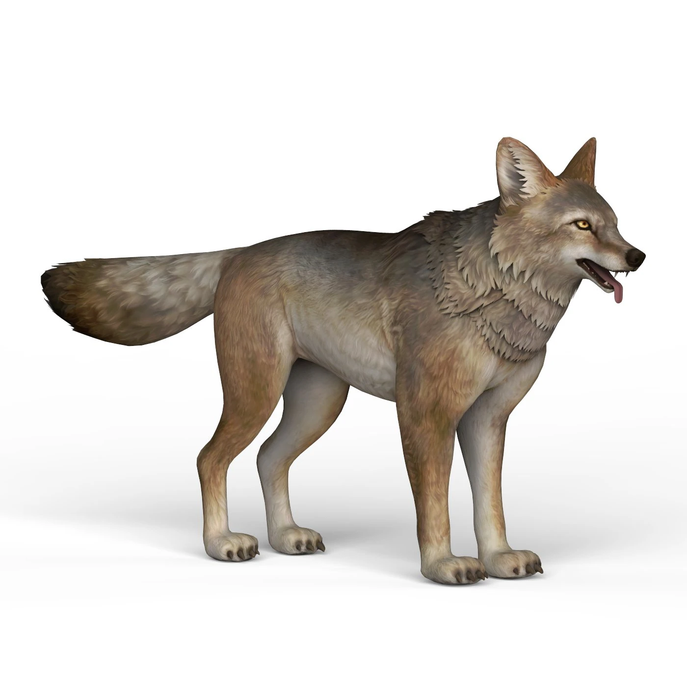 game ready wolf 3D Model .c4d .max .obj .3ds .fbx .stl .blend 