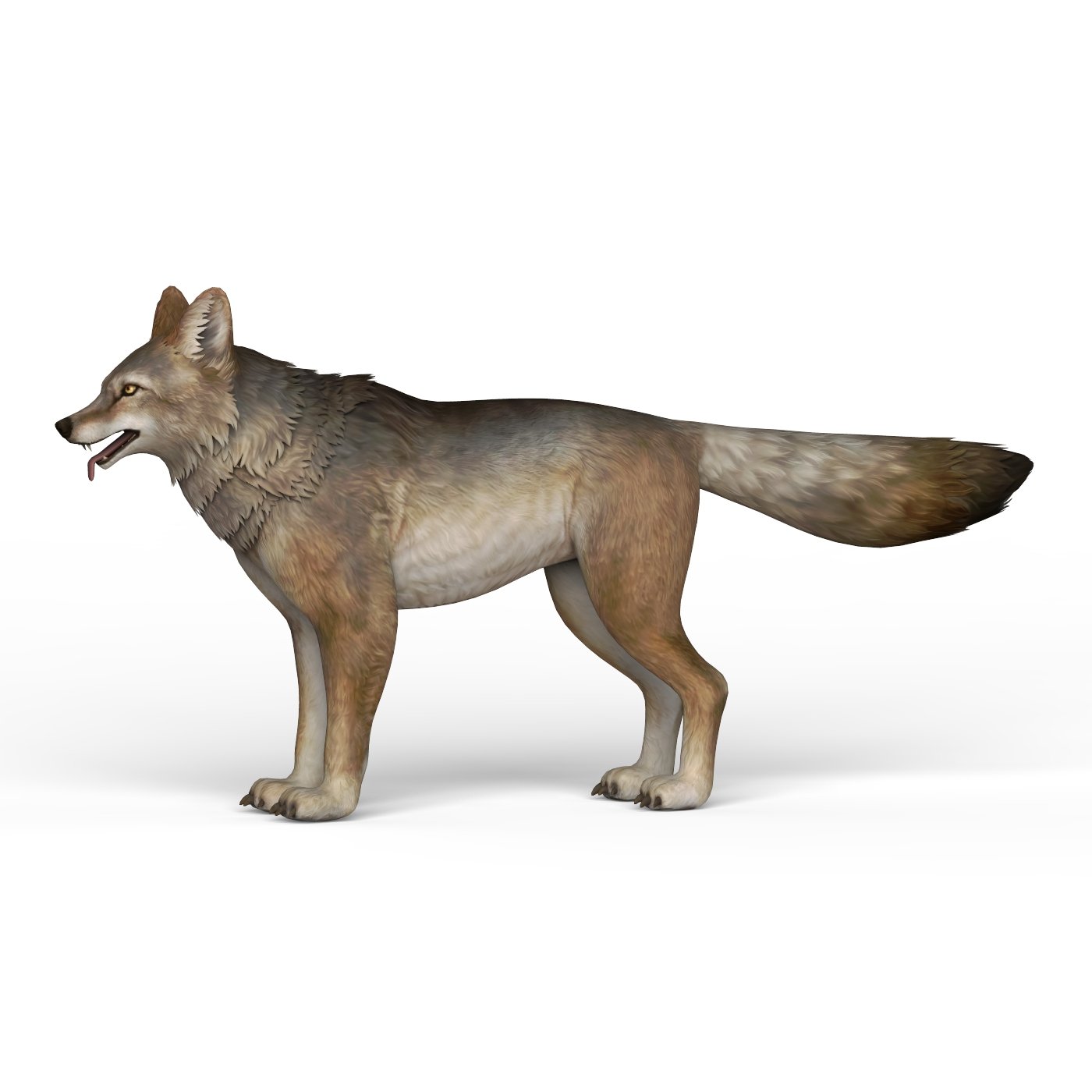 Wolf models. Волк 3d. Модель волка. Реди Вулф. Волк 3д Ark.
