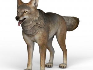 game ready wolf Model 3D