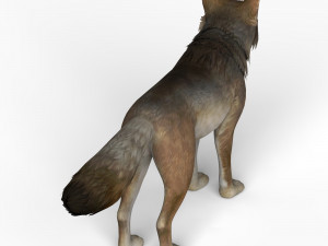 game ready wolf Model 3D
