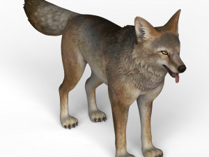 game ready wolf Model 3D