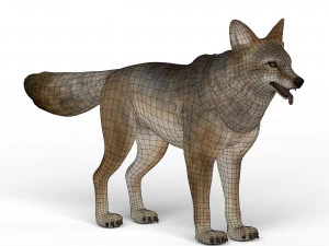 game ready wolf 3D Model
