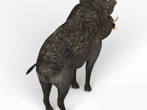 wild boar Modèle 3D