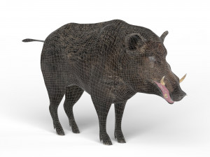 wild boar Modèle 3D