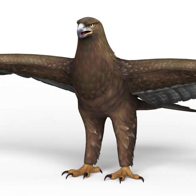 game ready eagle 3Dモデル .c4d .max .obj .3ds .fbx .stl .blend 
