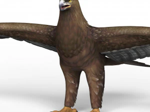 खेल तैयार ईगल 3D मॉडल