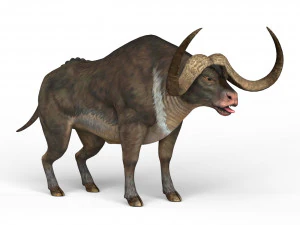 B&uacute;falo Modelo 3D