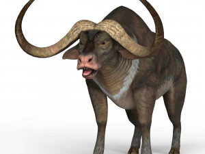 B&uacute;falo Modelo 3D