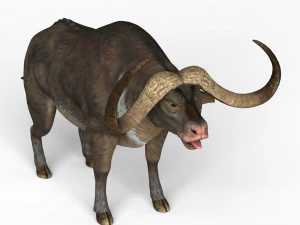 B&uacute;falo Modelo 3D