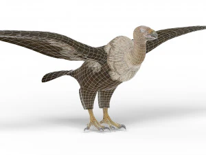 vulture 3D Model