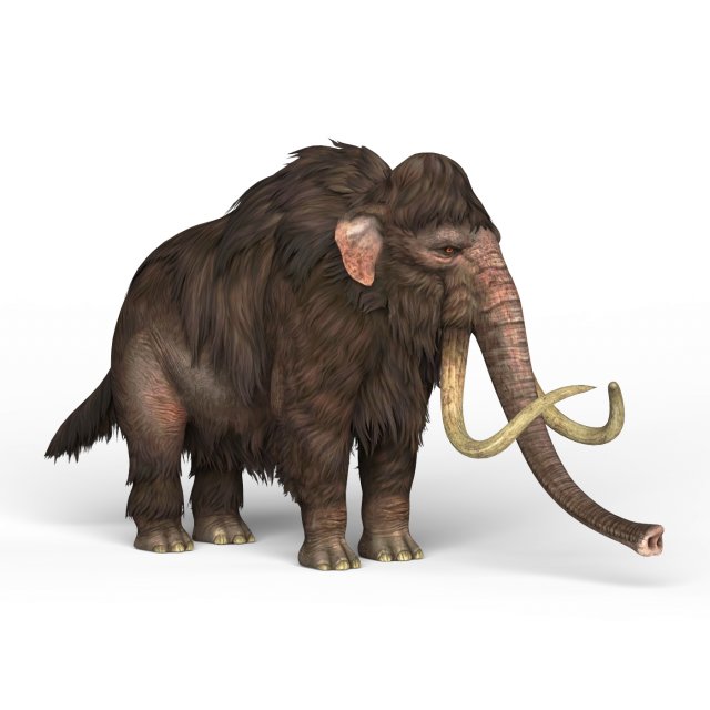 mammoth elephant 3D 模型 .c4d .max .obj .3ds .fbx .stl .blend 