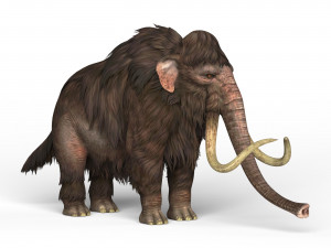 mammoth elephant 3D Model