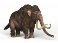 Mammoth Elephant 3D-Modell