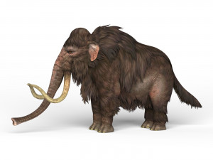 mammoth elephant 3D 模型