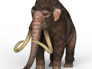 mammoth elephant 3D 模型