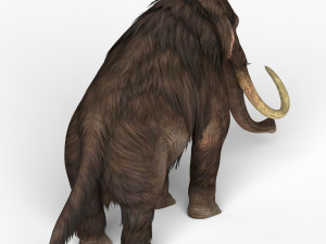 mammoth elephant 3D 模型