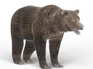 wild bear Model 3D