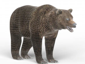 जंगली भालू 3D मॉडल