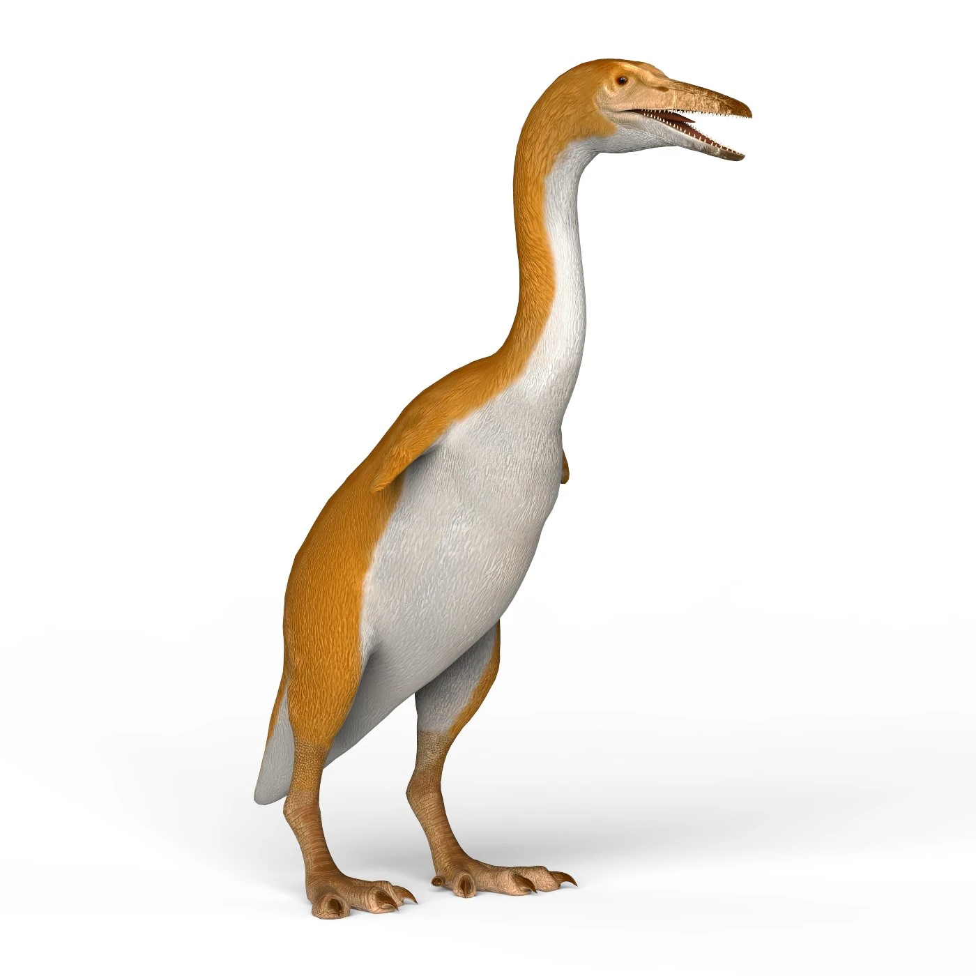 monster bird 3D Model .c4d .max .obj .3ds .fbx .stl .blend 
