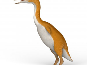monster bird Modèle 3D