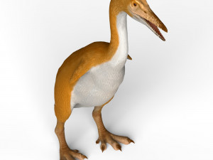 monster bird Modèle 3D