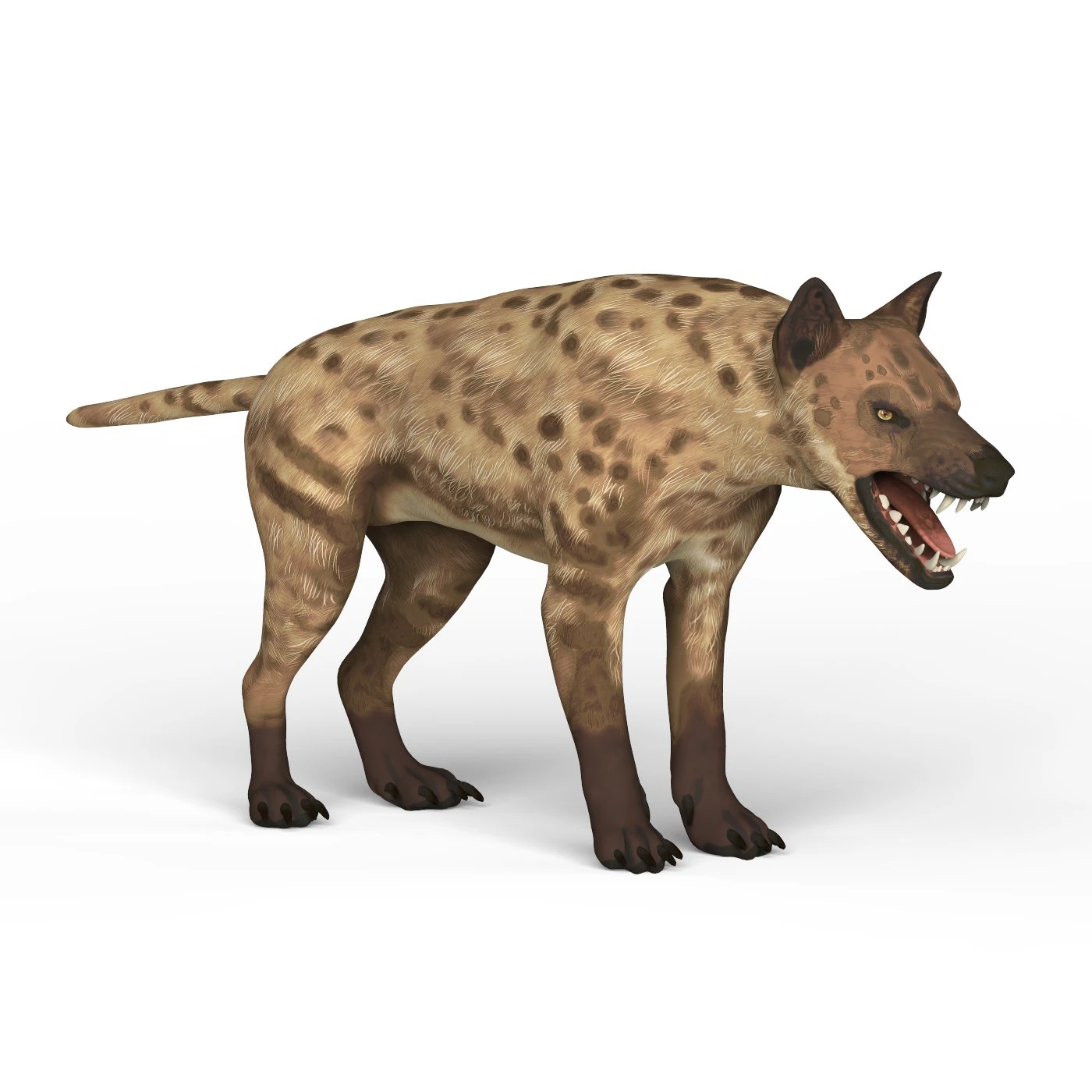 monster dog 3D Model .c4d .max .obj .3ds .fbx .stl .blend
