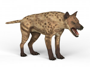 monster dog 3D 模型