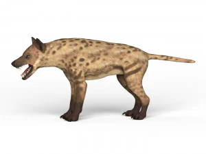 monster dog 3D Model