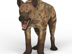 monster dog Modelo 3D