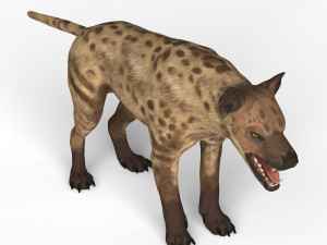 monster dog Modelo 3D