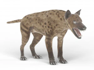 monster dog 3D Model