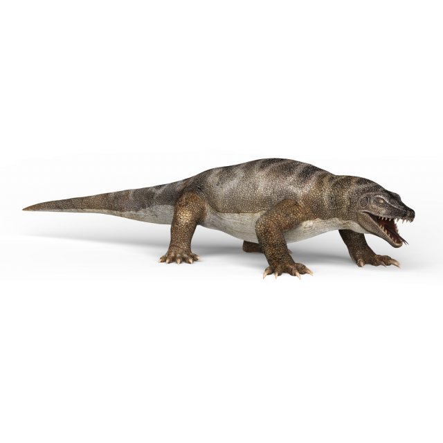 komodo dragon Model 3D .c4d .max .obj .3ds .fbx .stl .blend 