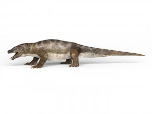 komodo dragon 3D Model