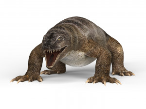 komodo dragon Model 3D