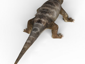 komodo dragon Model 3D