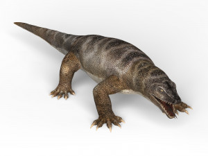 komodo dragon Model 3D