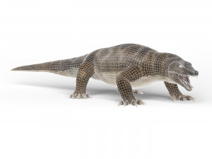 komodo dragon Model 3D