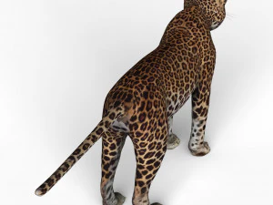 jaguar 3D Model