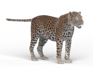jaguar 3D-Modell