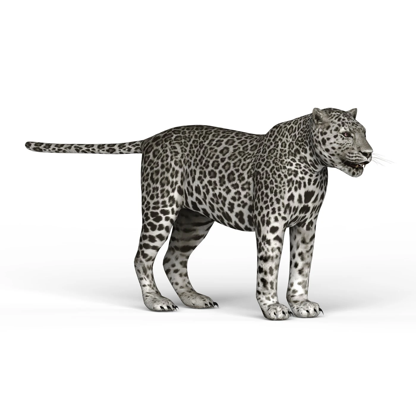 snow jaguar 3D Model .c4d .max .obj .3ds .fbx .stl .blend 