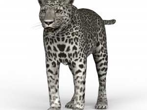 snow jaguar Modelo 3D