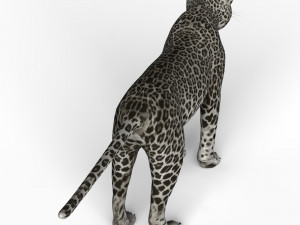 snow jaguar Modelo 3D