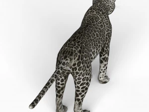 snow jaguar 3D Model